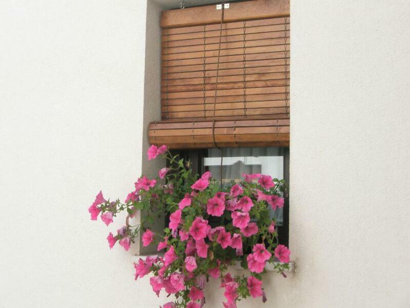 Apartamentos La Ribera قرطبة المظهر الخارجي الصورة